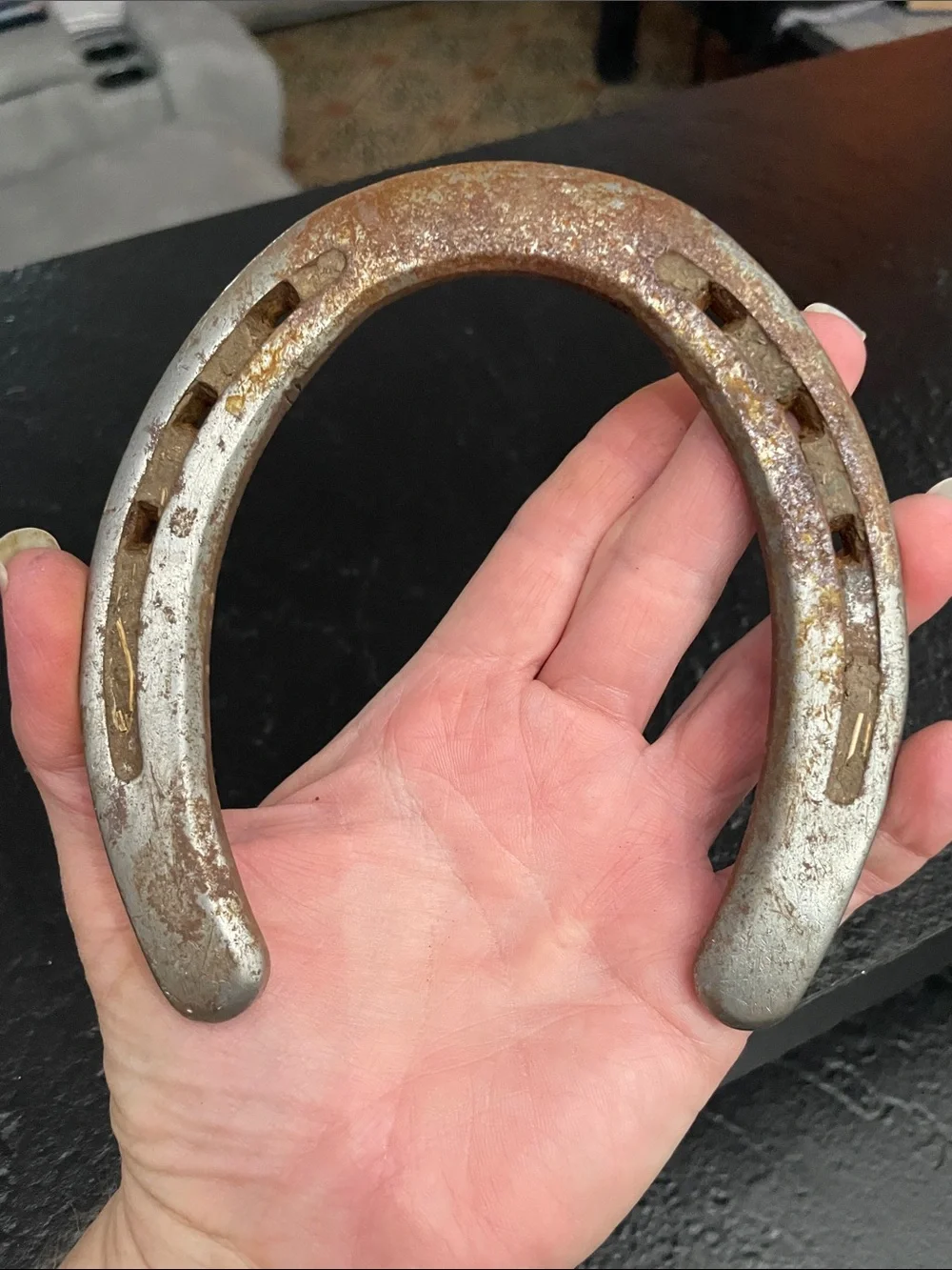 Classic Rustic Horseshoe - Silver/Brown